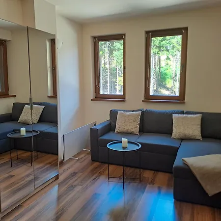 студио алтом Apartament