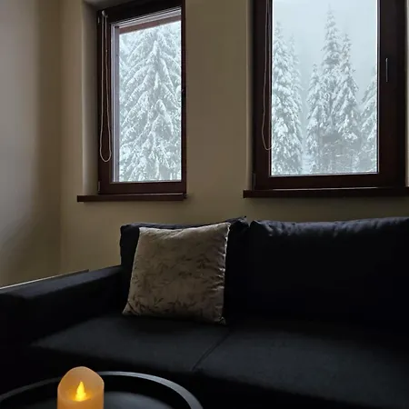 студио алтом Apartament