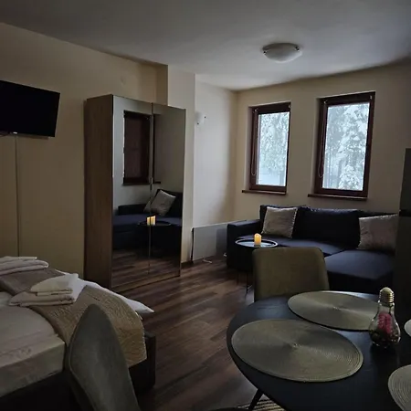 студио алтом Apartament