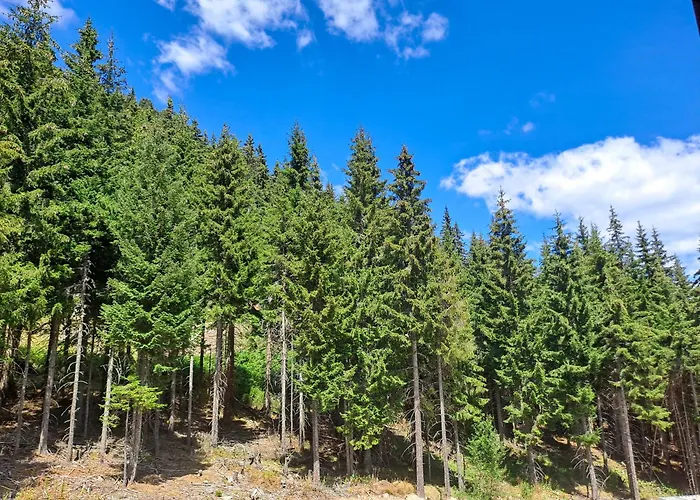 студио алтом Appartamento Pamporovo