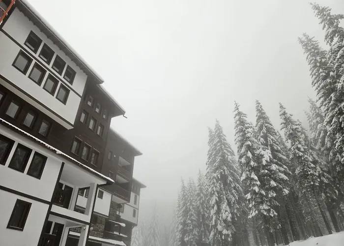 Appartamento студио алтом *