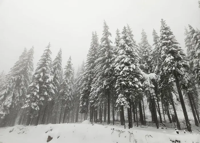 студио алтом Appartamento Pamporovo